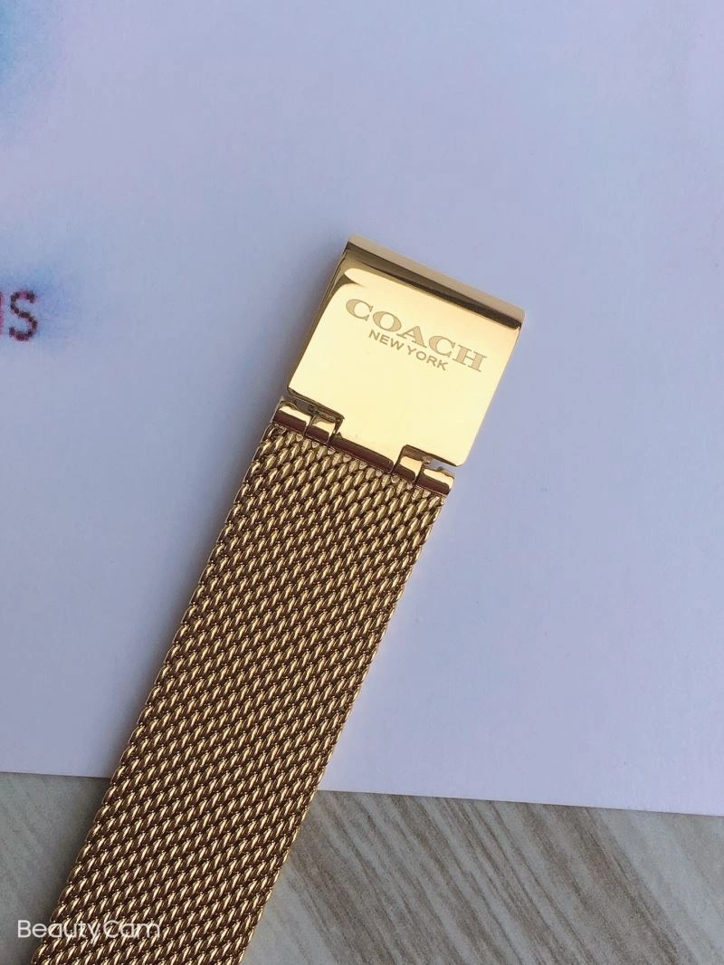MoistureWicking COACH Watches 182092