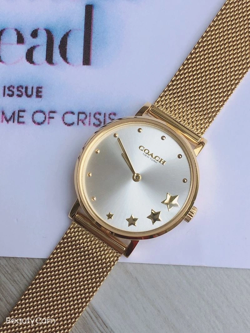 MoistureWicking COACH Watches 182092