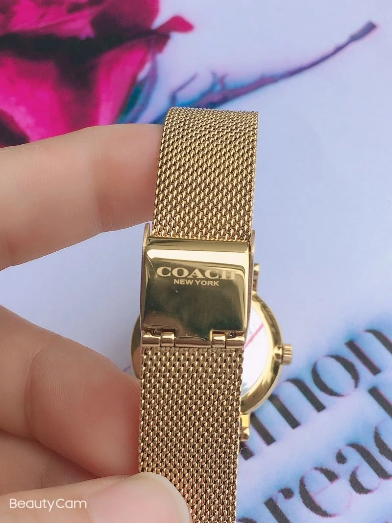 MoistureWicking COACH Watches 182092