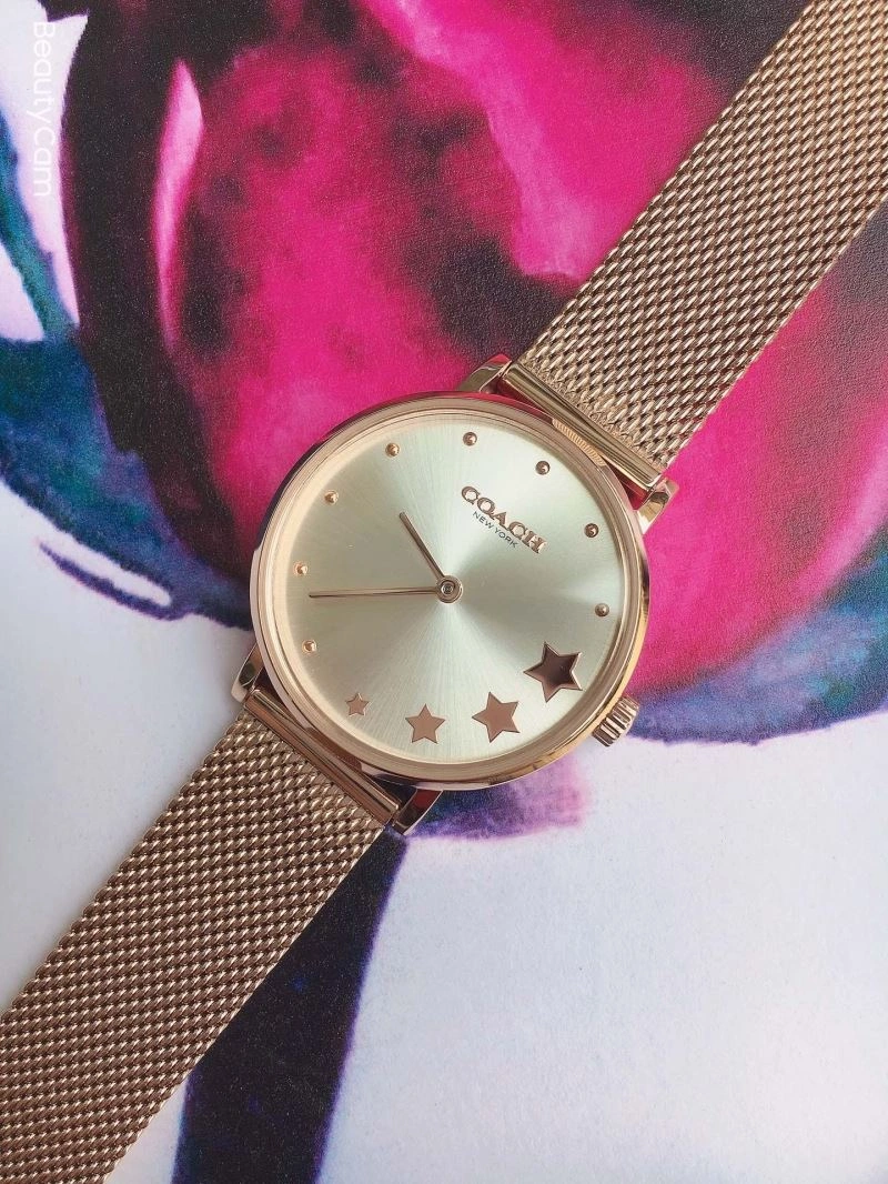 Comfortable COACH Watches 182091