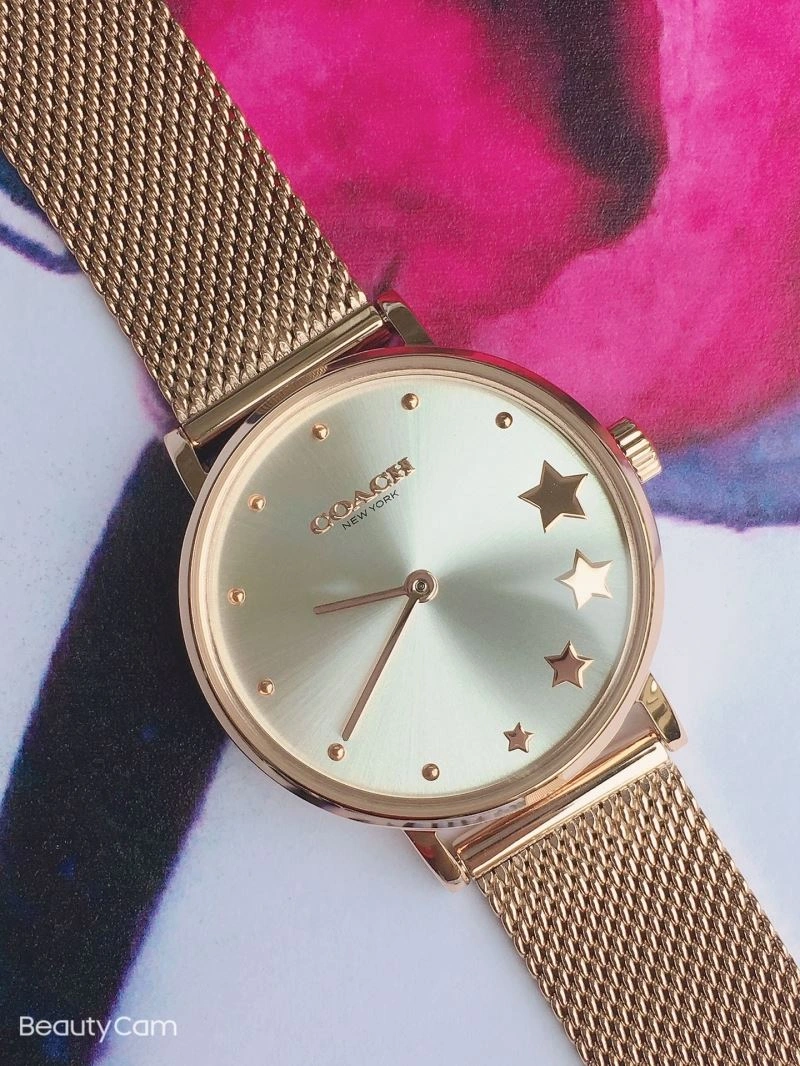 Comfortable COACH Watches 182091