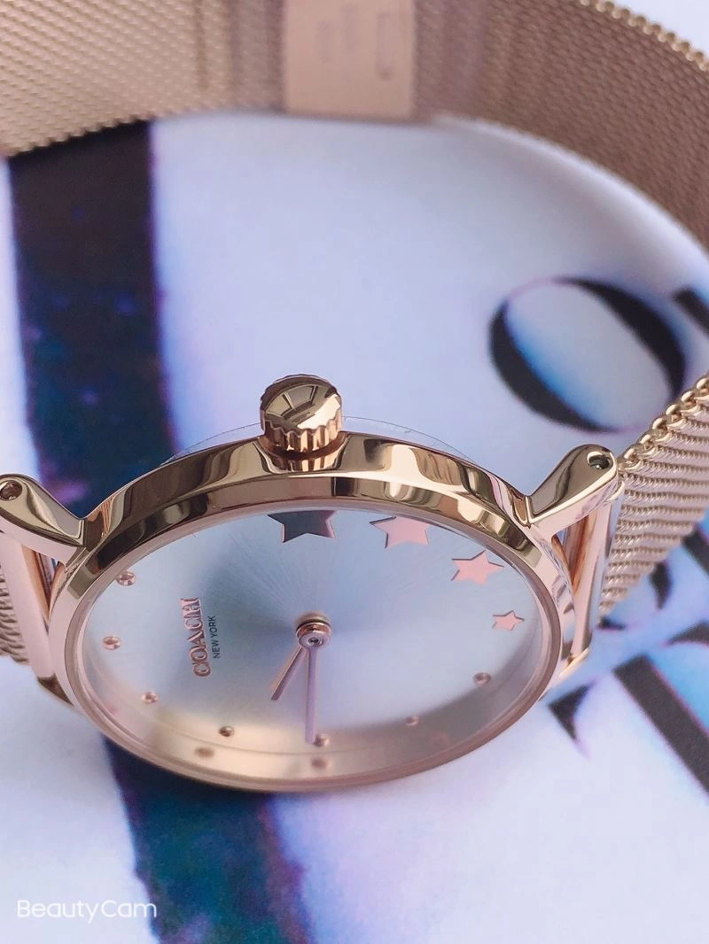 Comfortable COACH Watches 182091