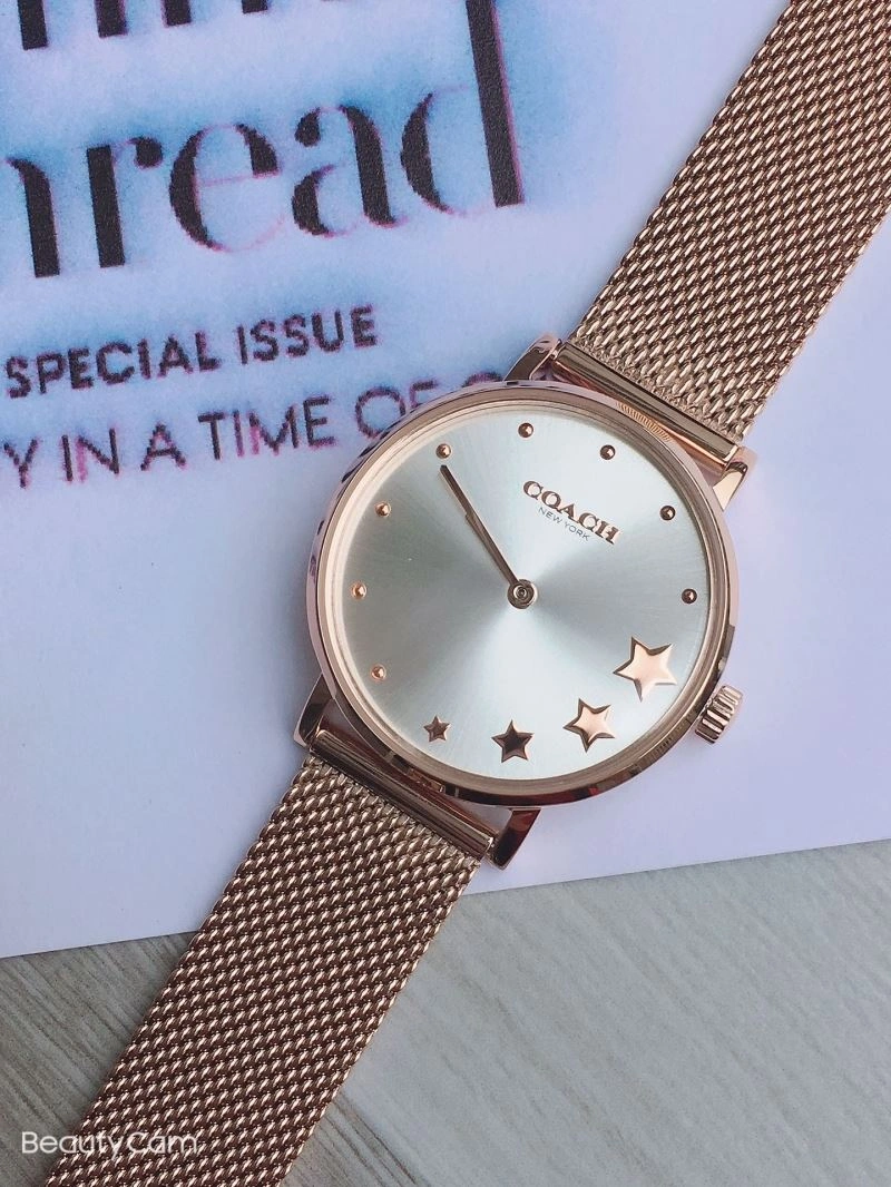 Comfortable COACH Watches 182091