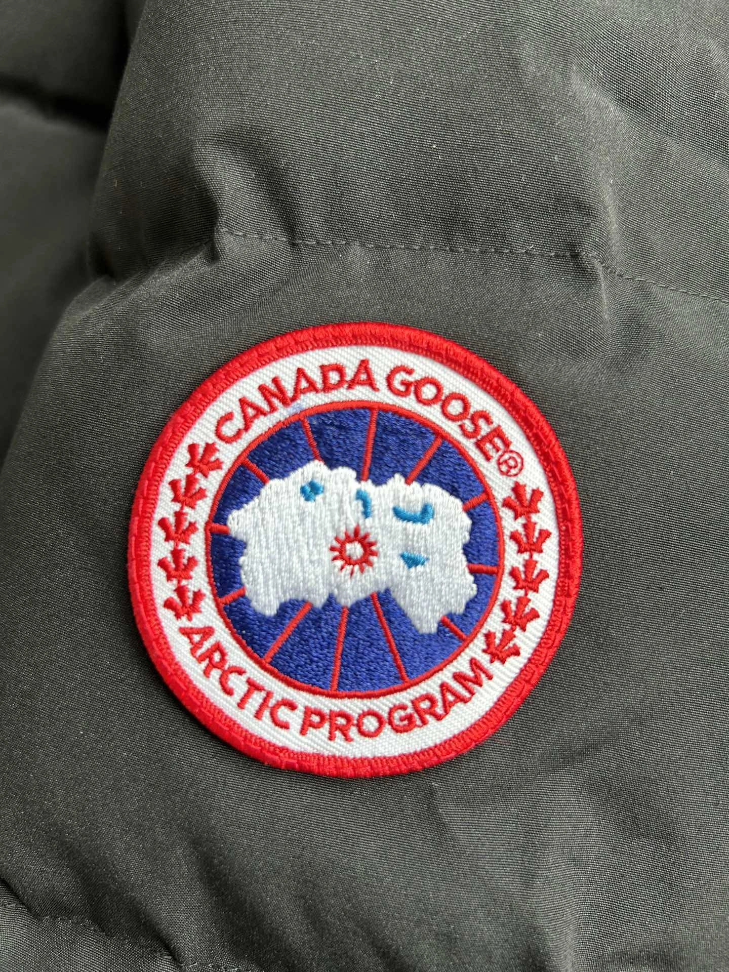 Canada Goose Down Jackets Youthful 106627