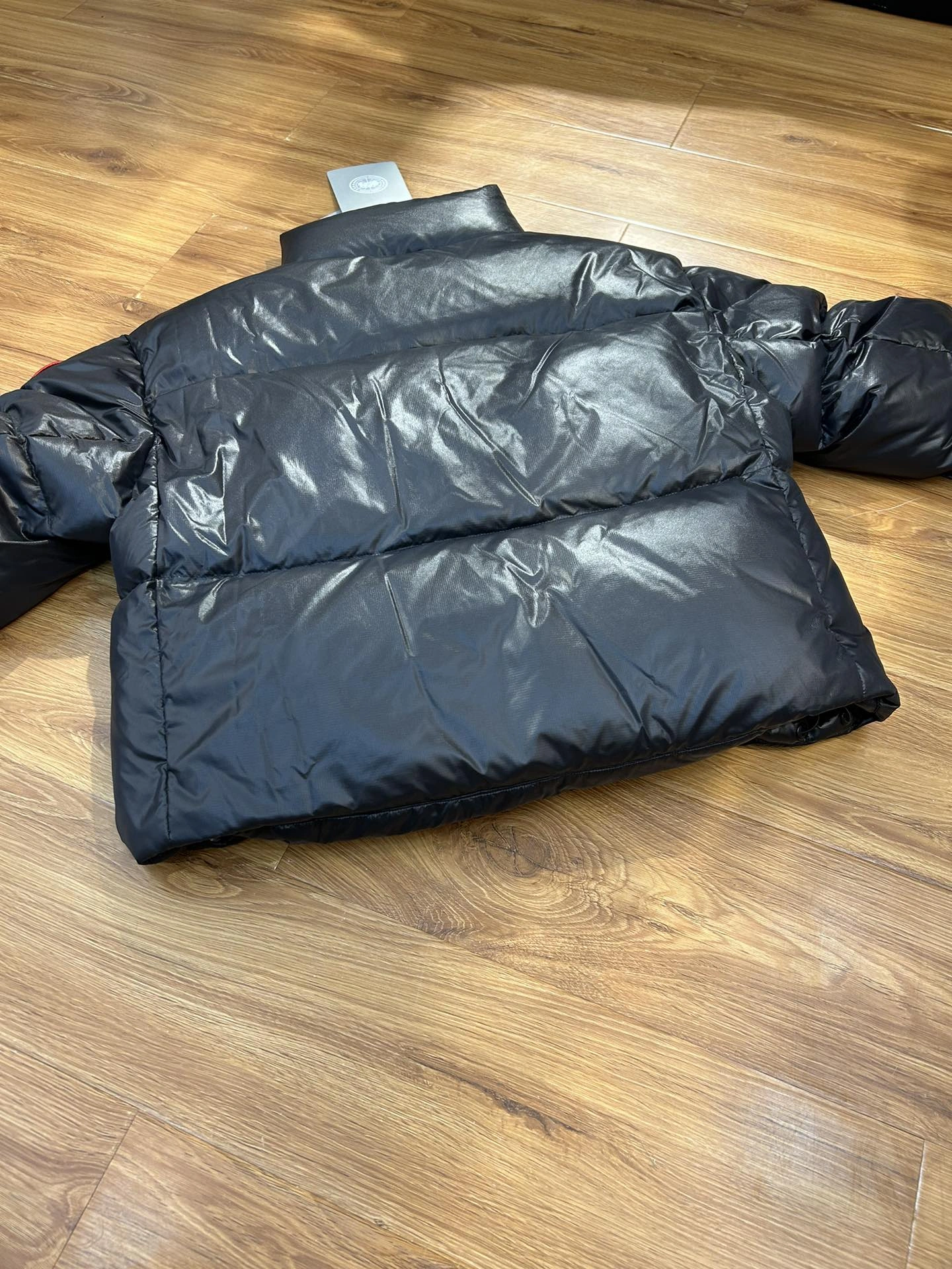 Bold Canada Goose Down Jackets 106579