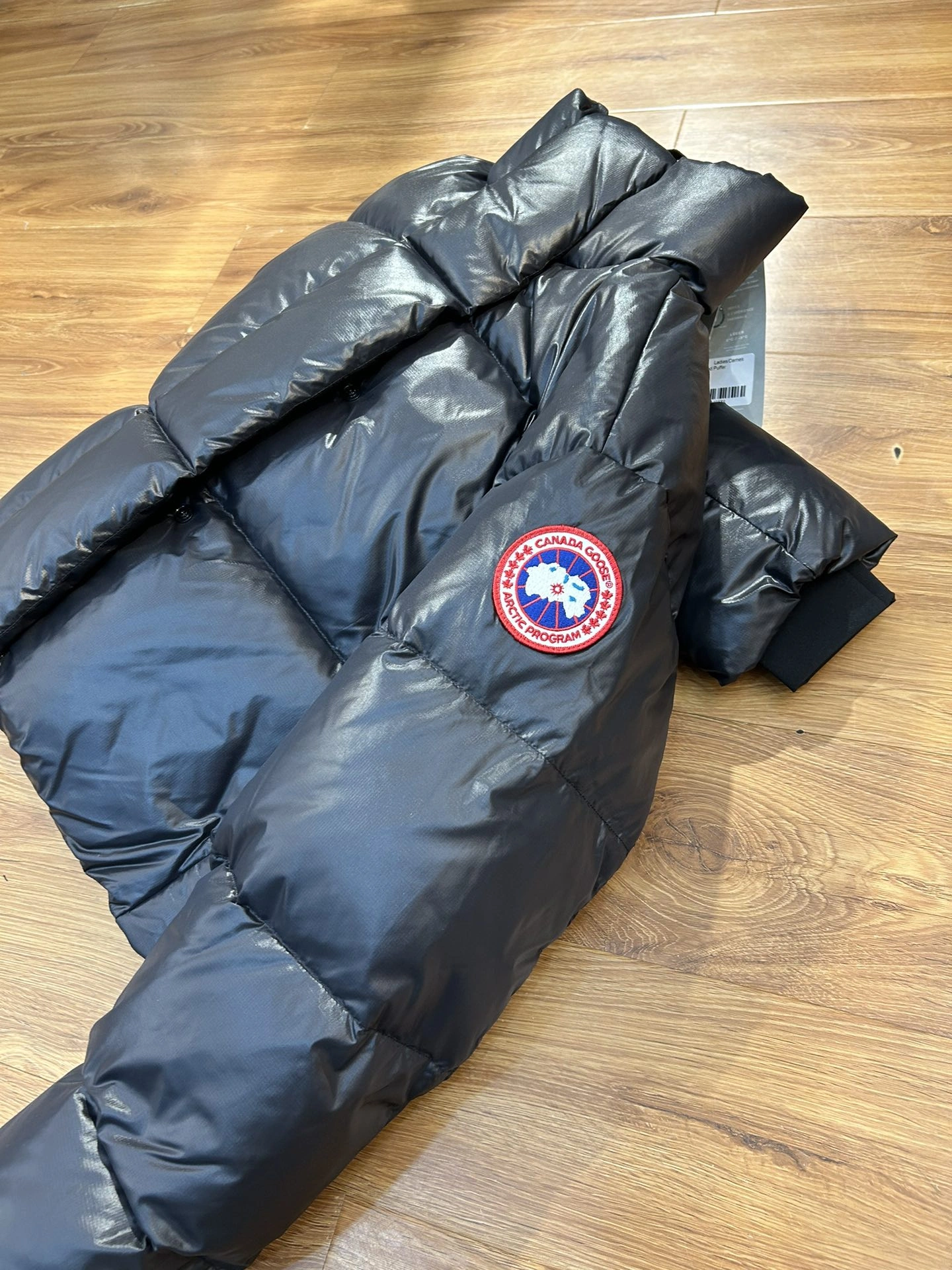 Bold Canada Goose Down Jackets 106579