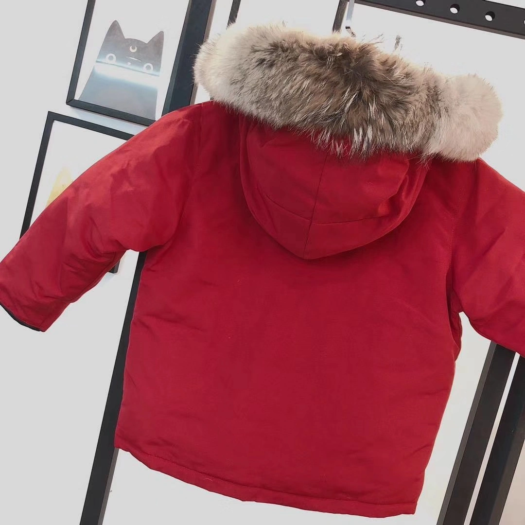 Canada Goose Down Jackets ModernLook 106550