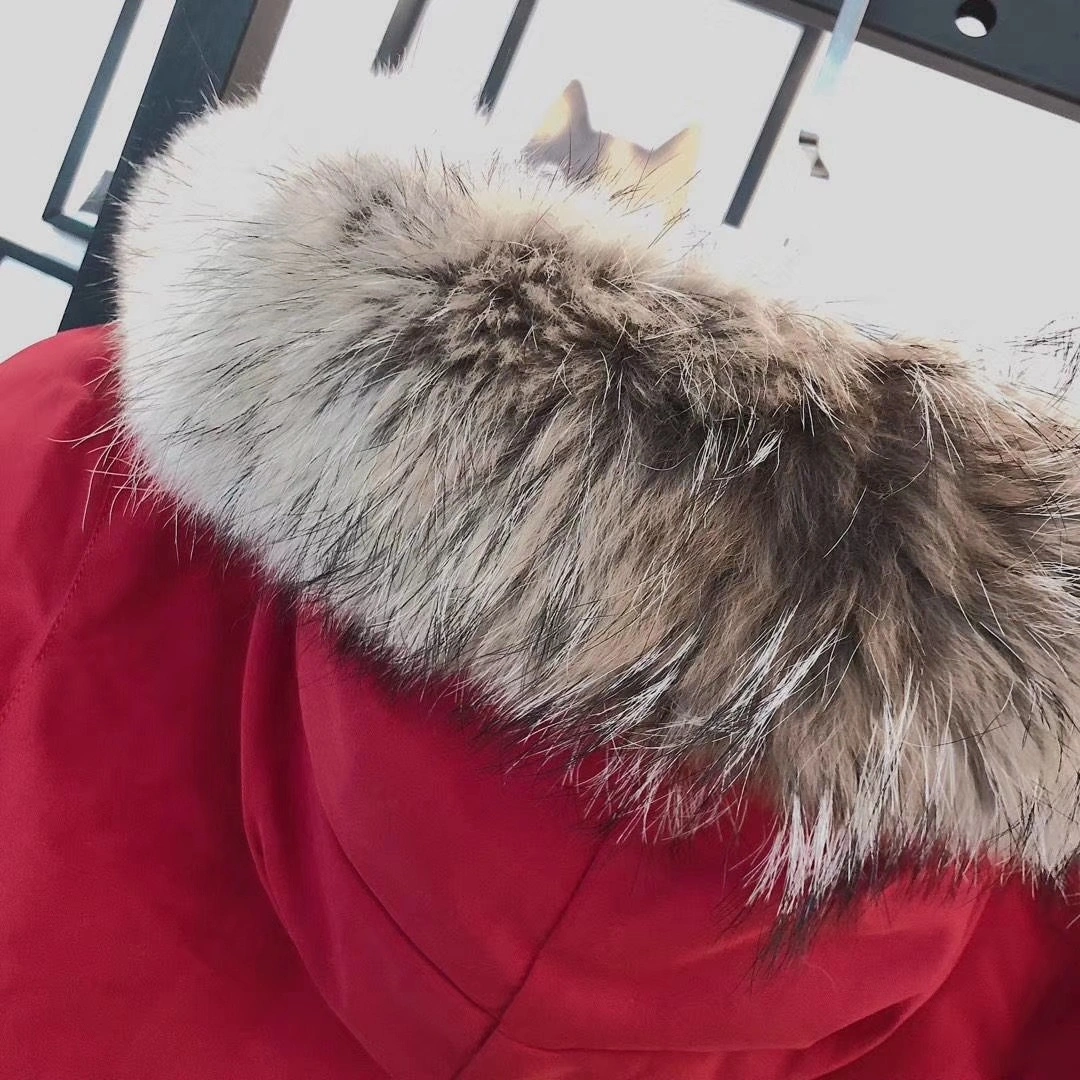 Canada Goose Down Jackets ModernLook 106550