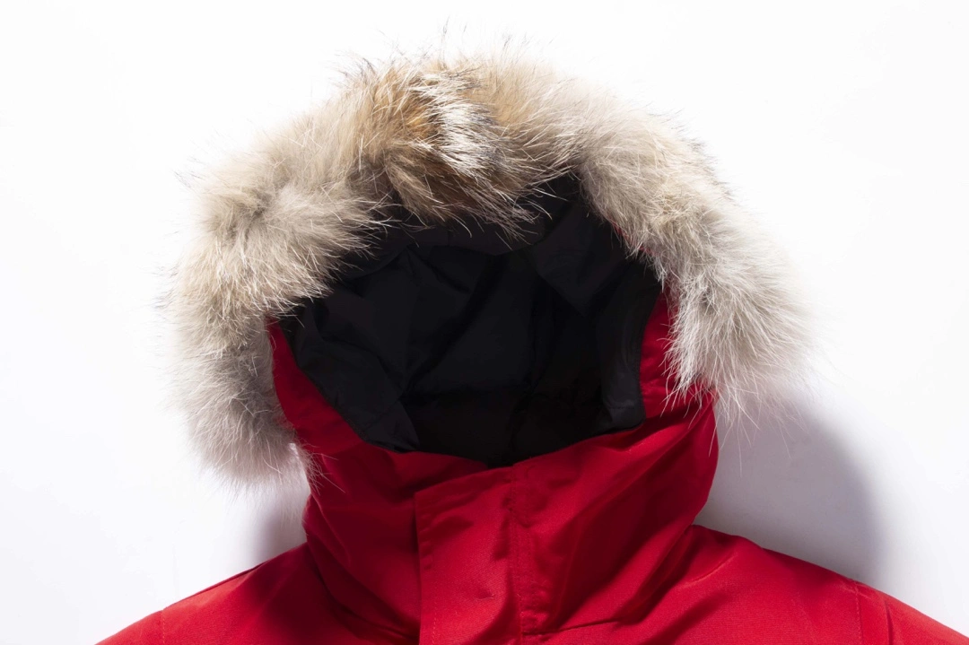 ModernLook Canada Goose Down Jackets 106552