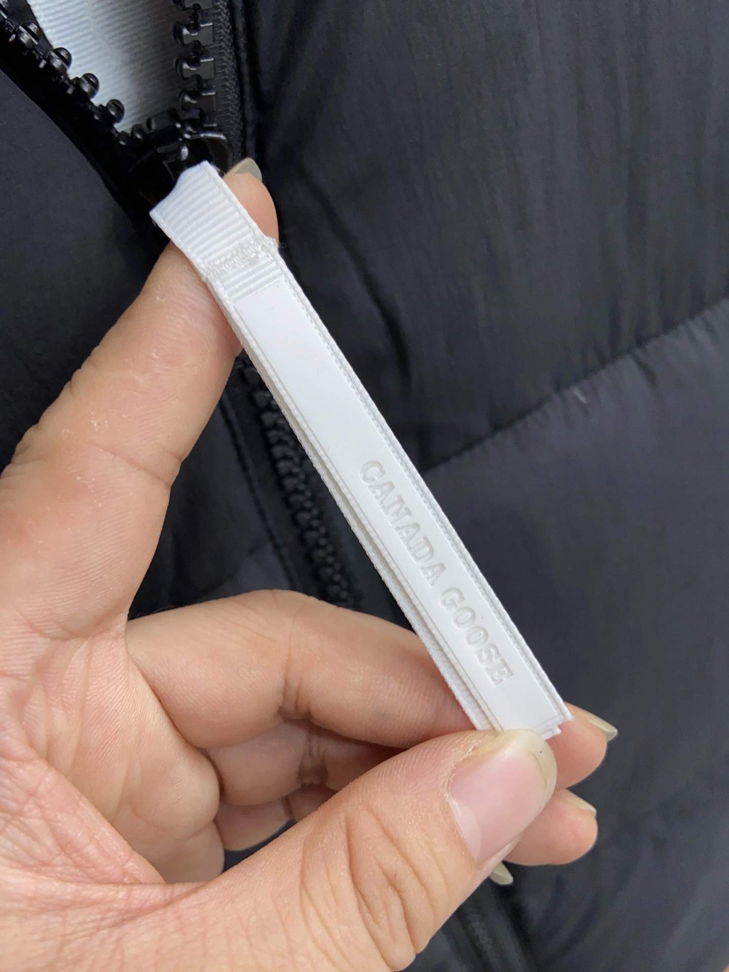 Canada Goose Down Jackets Stretchable 106553