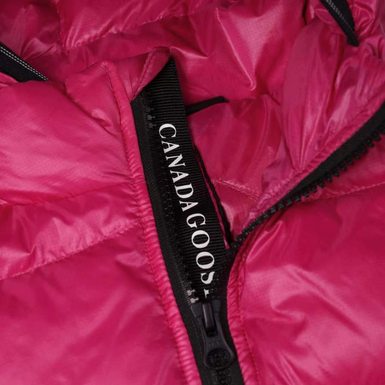 Canada Goose Down Jackets Tailored 106421