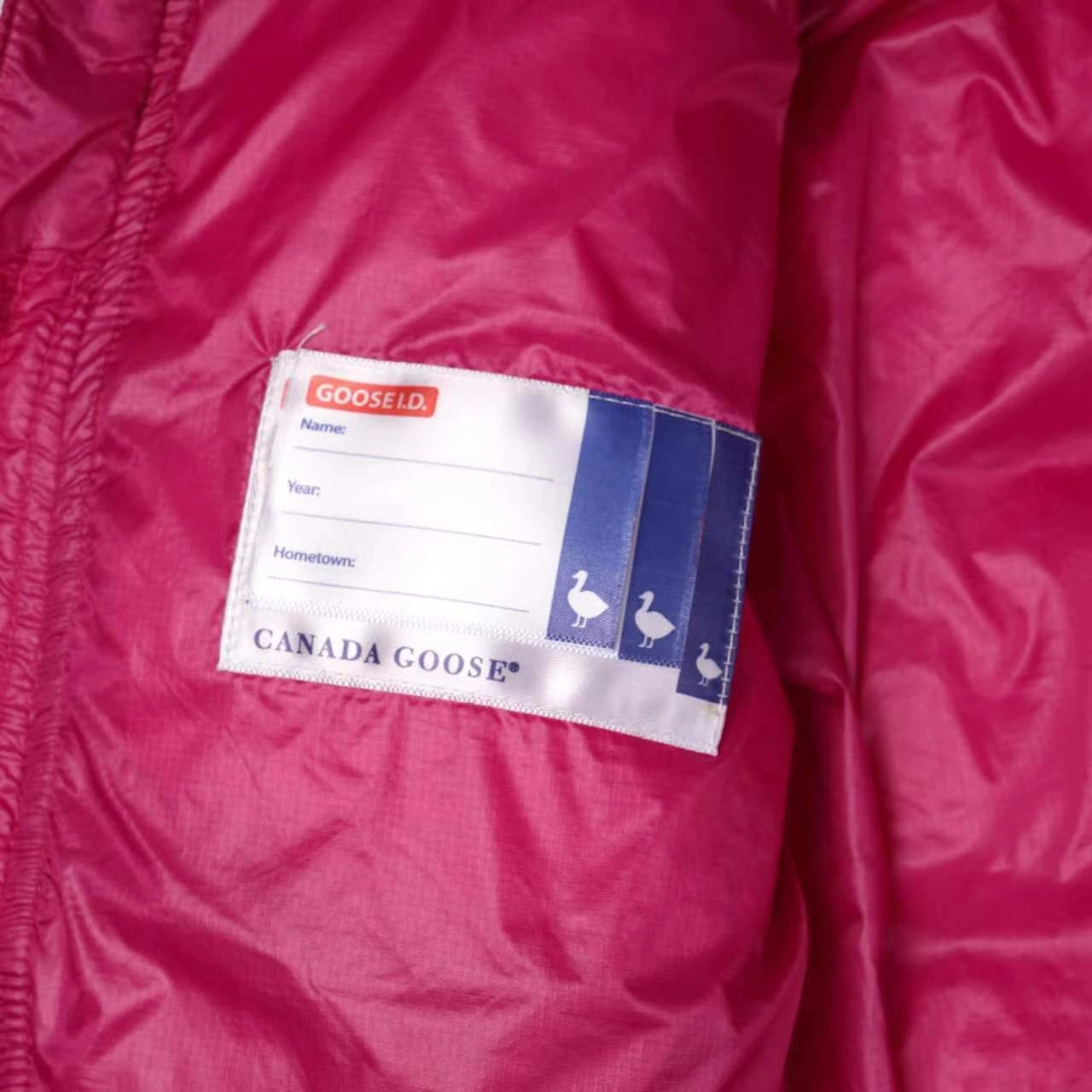 Canada Goose Down Jackets Tailored 106421
