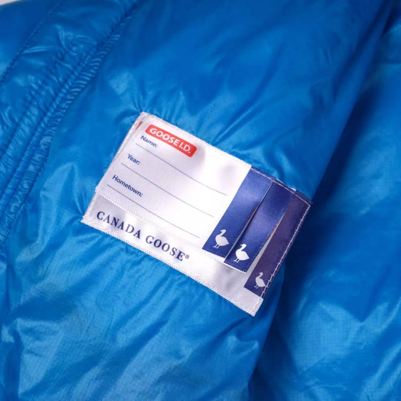 Fashionable Canada Goose Down Jackets 106424