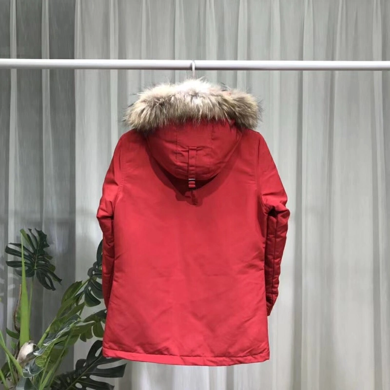 Canada Goose Down Jackets Modern 106375