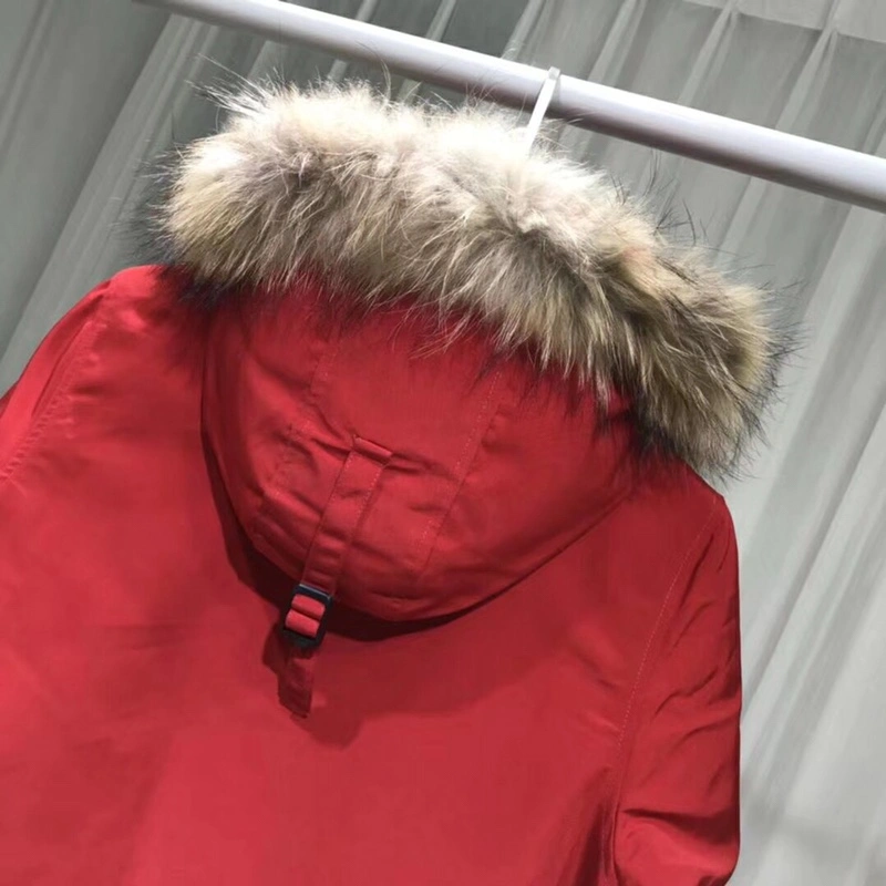 Canada Goose Down Jackets Modern 106375
