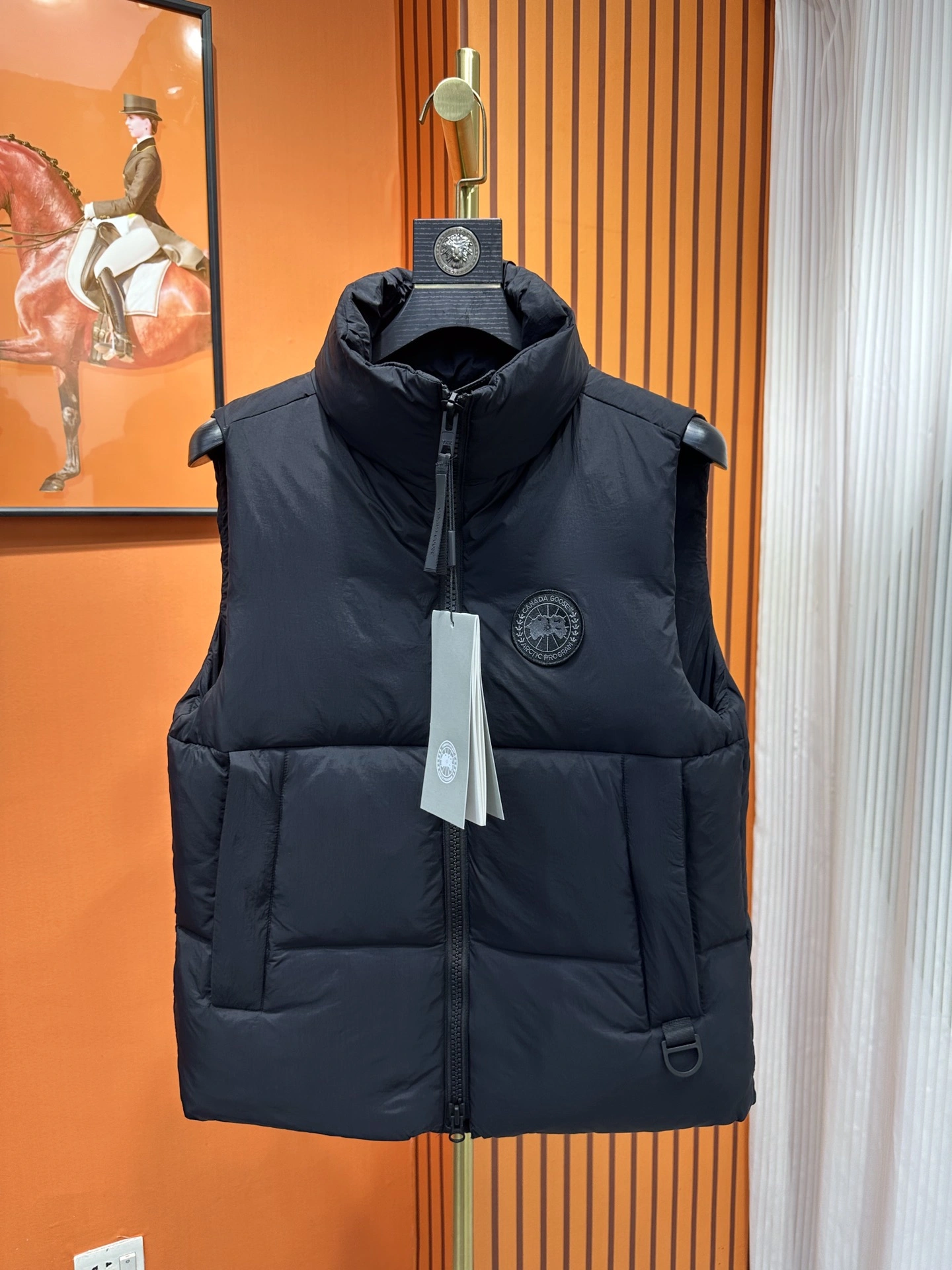 Compact Canada Goose Down Jackets 106359