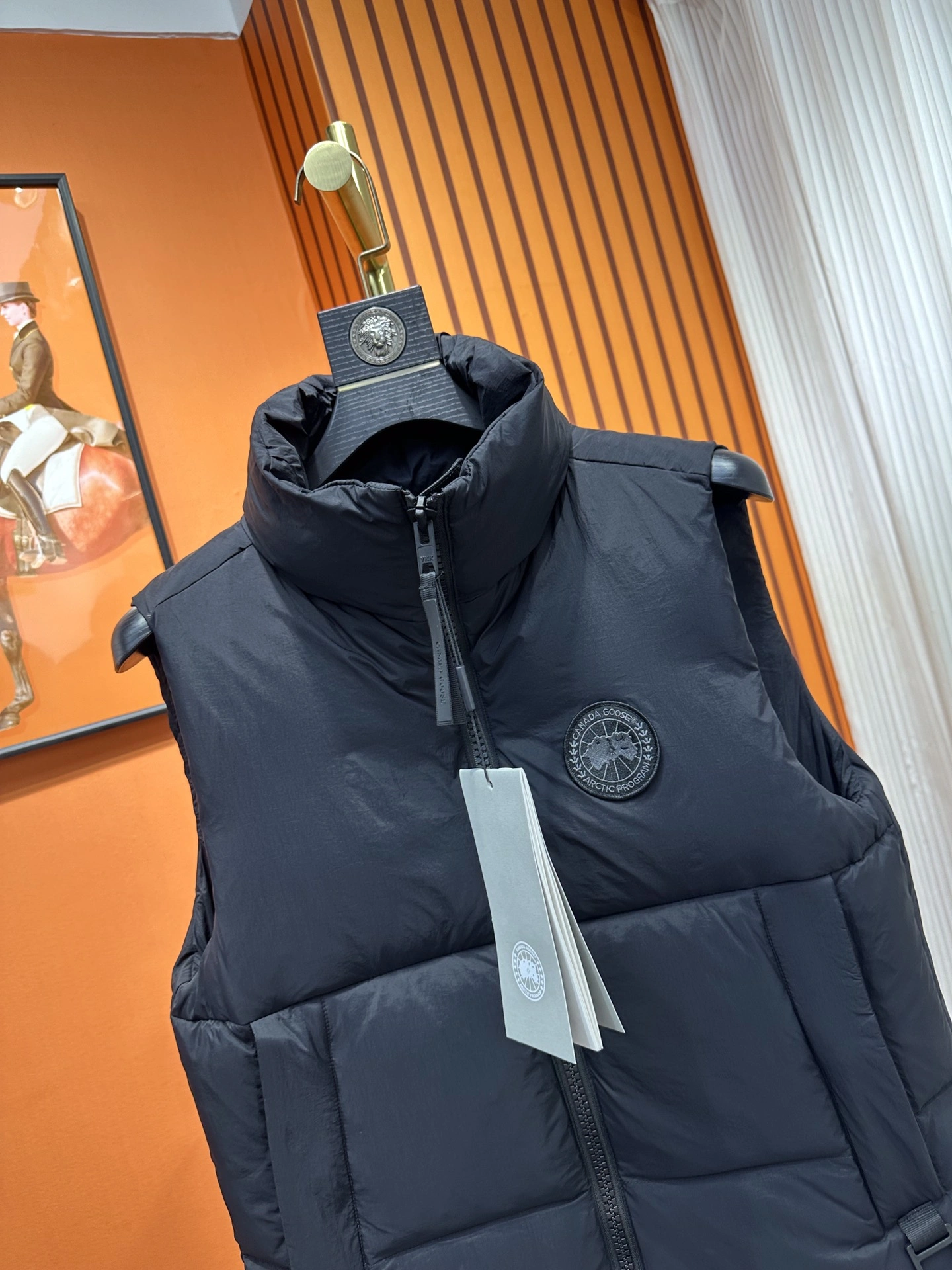 Compact Canada Goose Down Jackets 106359
