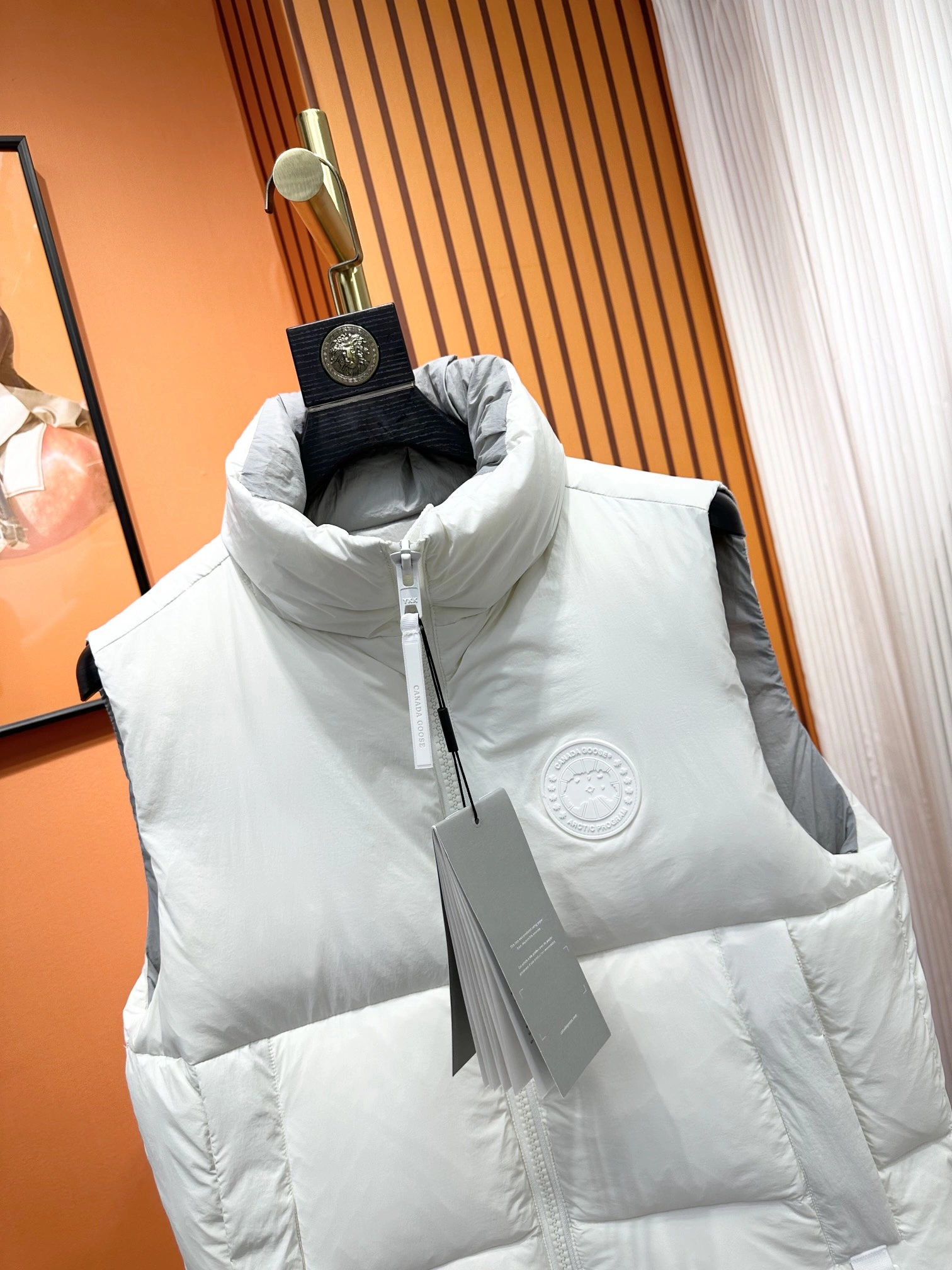 Canada Goose Down Jackets WaterResistant 106403