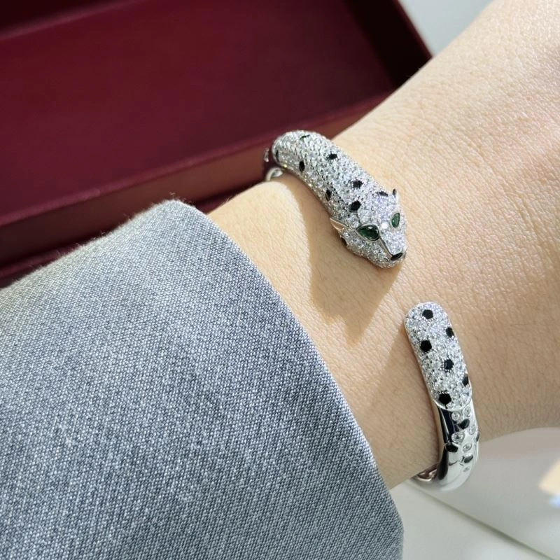 Cartier Bracelets FreshLook 217717