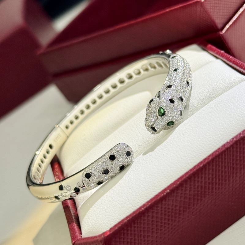 Cartier Bracelets FreshLook 217717