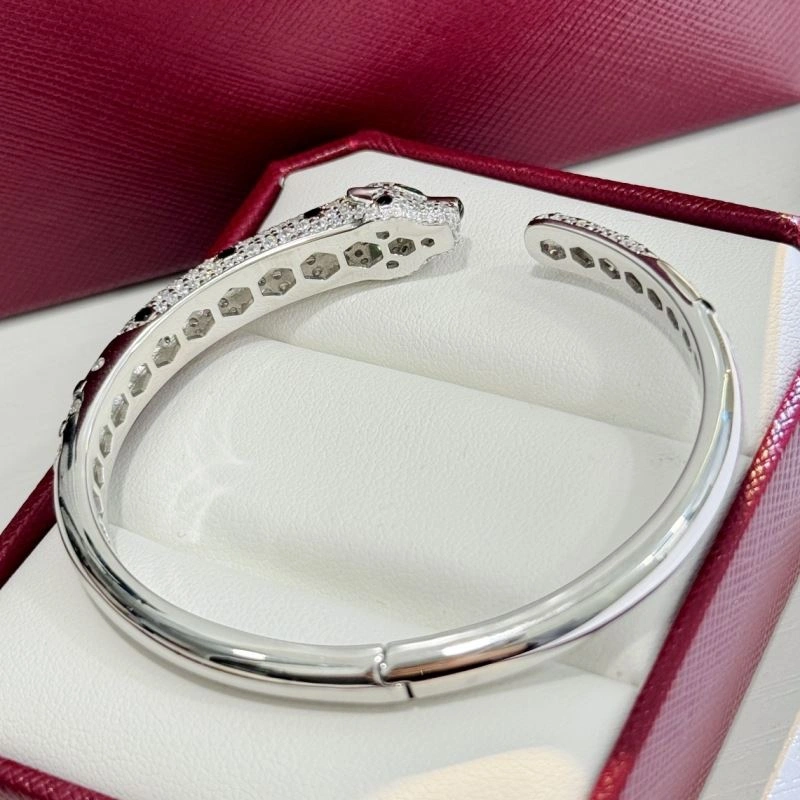 Cartier Bracelets FreshLook 217717