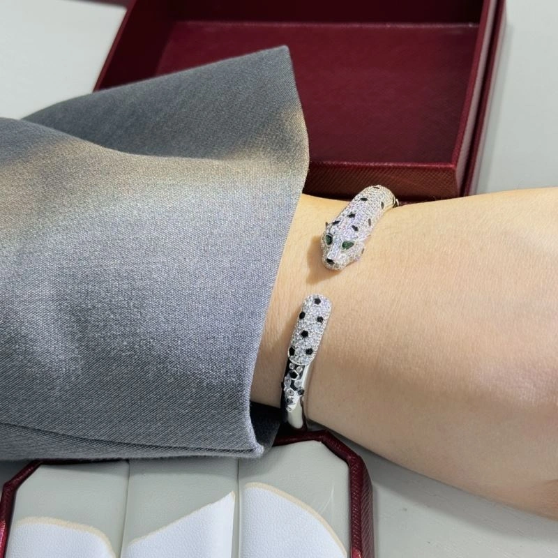 Cartier Bracelets FreshLook 217717