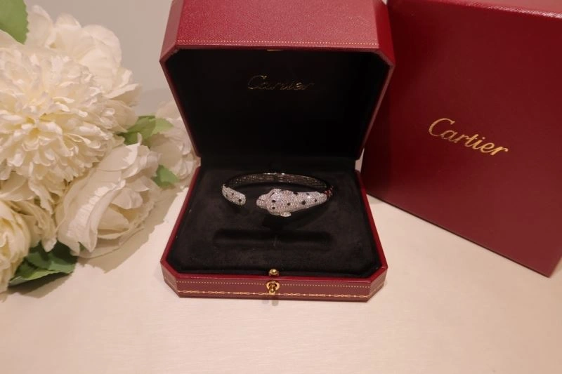 Packable Cartier Bracelets 217729