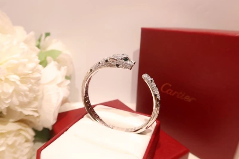 Packable Cartier Bracelets 217729