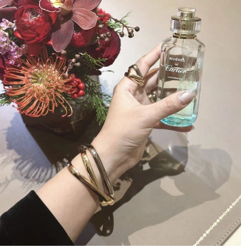 WrinkleFree Cartier Bracelets 217683