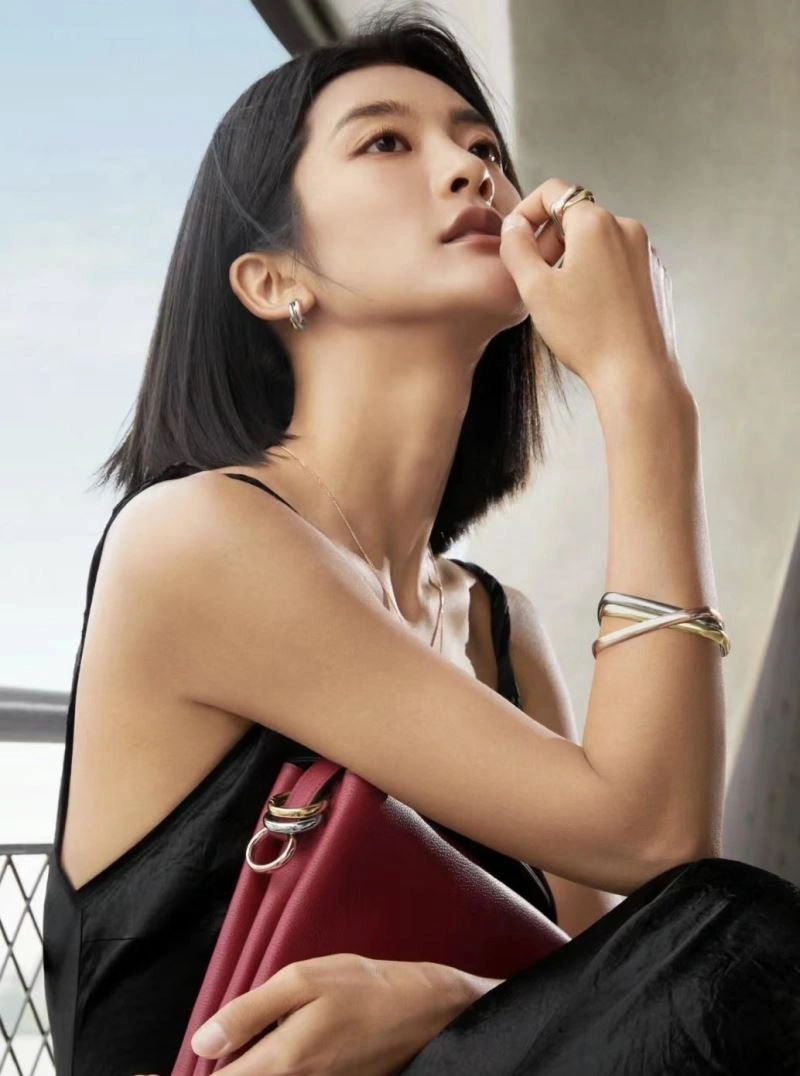 WrinkleFree Cartier Bracelets 217683