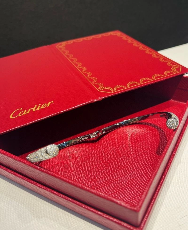 Cartier Bracelets Trendy 217901