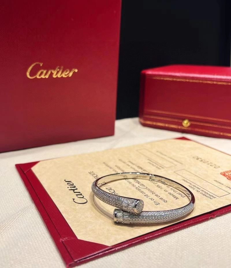 Cartier Bracelets Trendy 217901