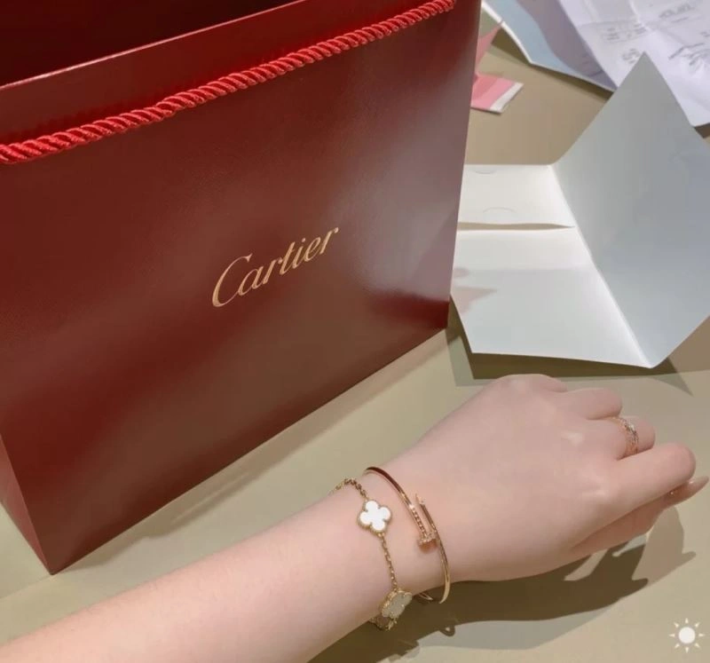 Cartier Bracelets WrinkleFree 217659
