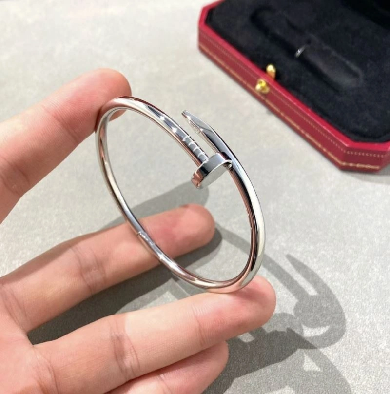 Cartier Bracelets Sleek 217666