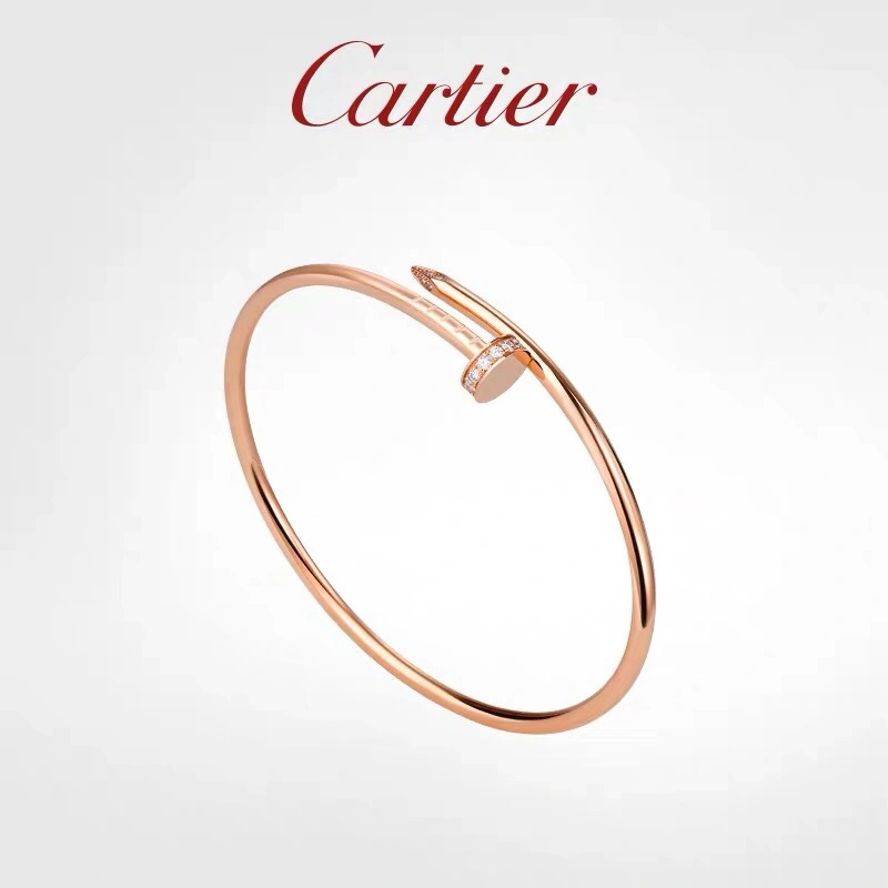 Cartier Bracelets Functional 217657