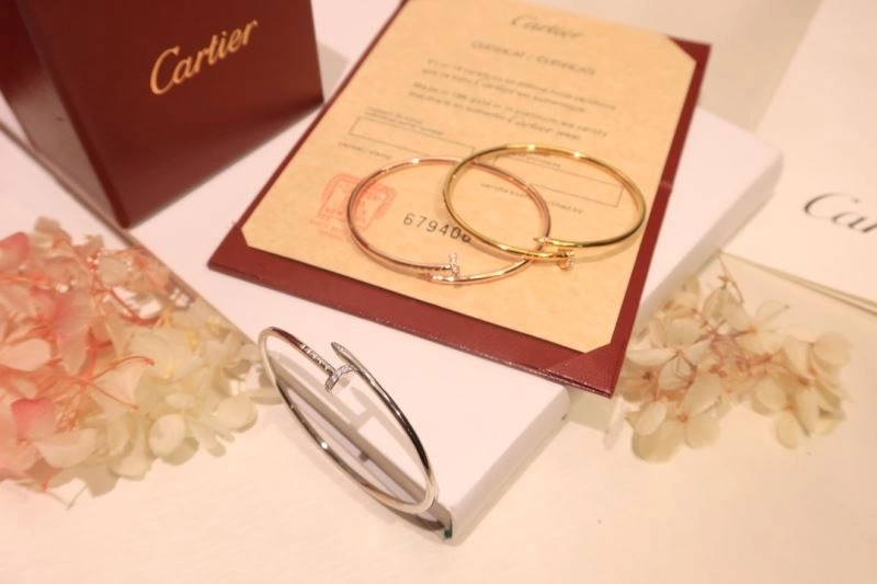 Cartier Bracelets Functional 217657