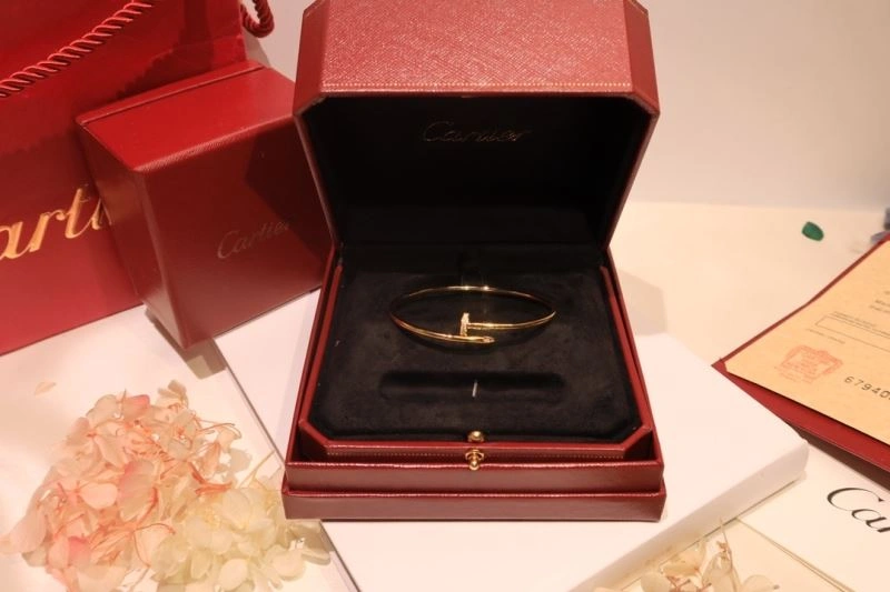 Cartier Bracelets Functional 217657