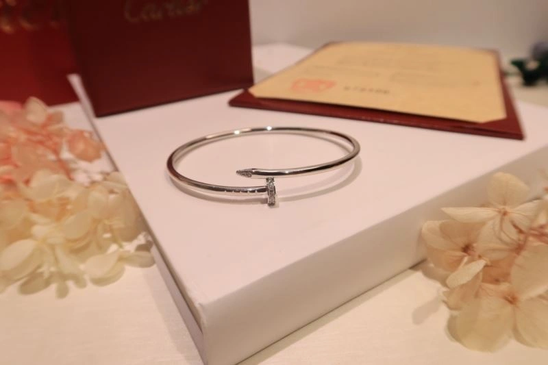 Cartier Bracelets Functional 217657