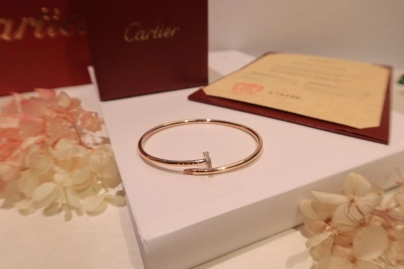 Cartier Bracelets Functional 217657