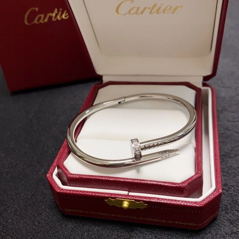 Cartier Bracelets Packable 217722