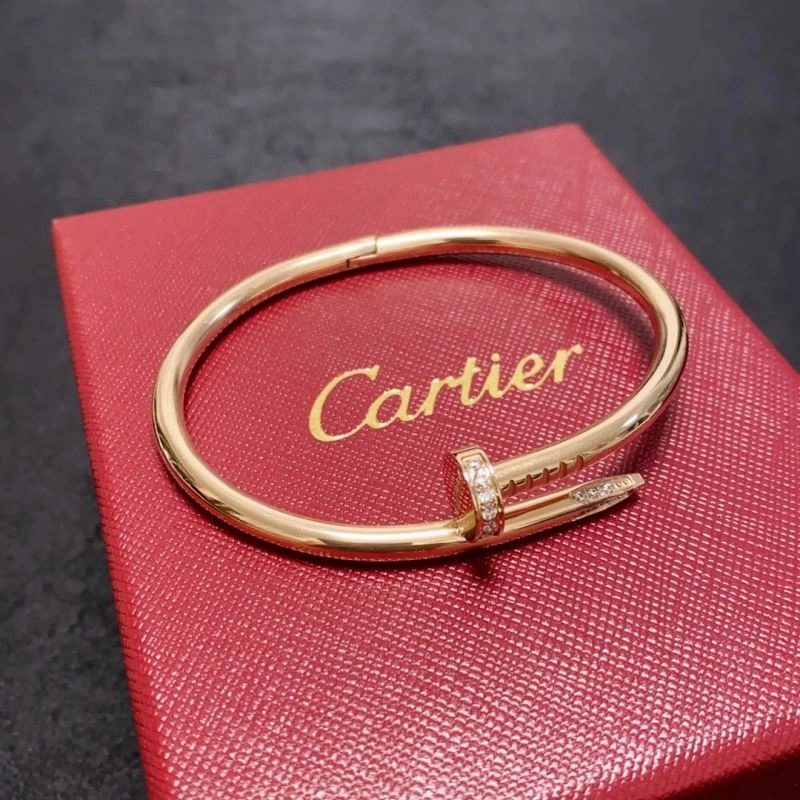 Cartier Bracelets Packable 217722