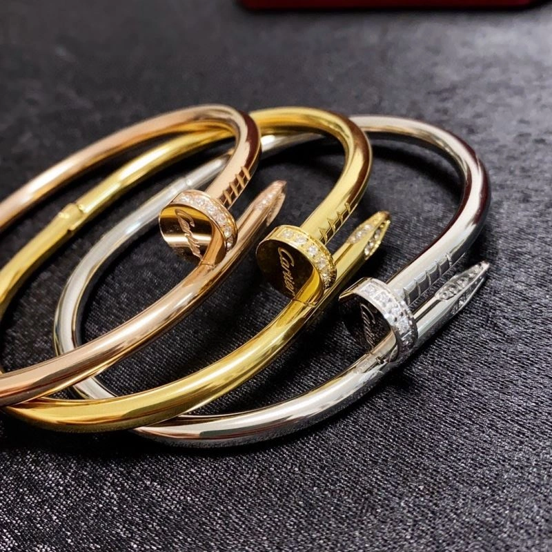 Cartier Bracelets Packable 217722
