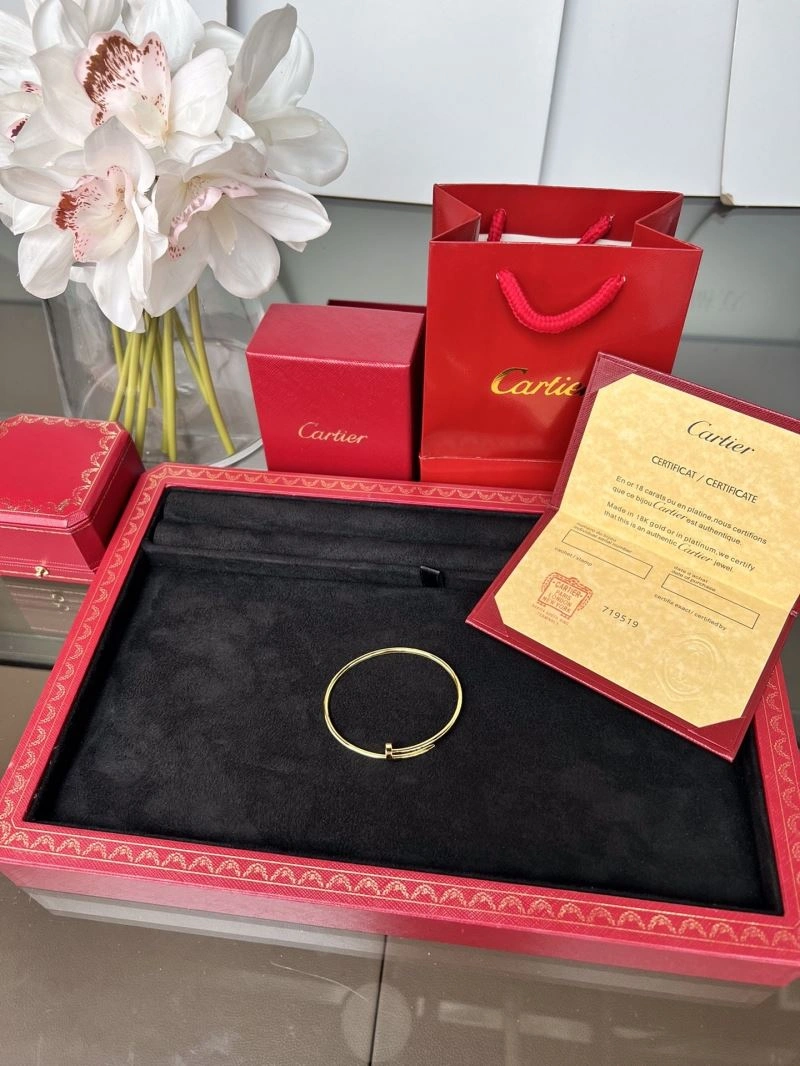 Cartier Bracelets Resilient 217664
