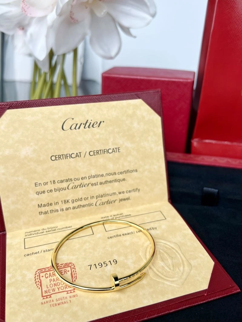Cartier Bracelets Resilient 217664