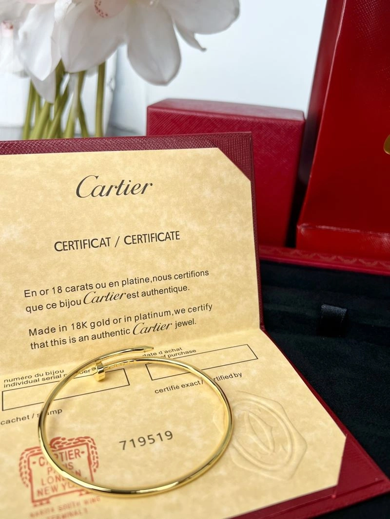 Cartier Bracelets Resilient 217664