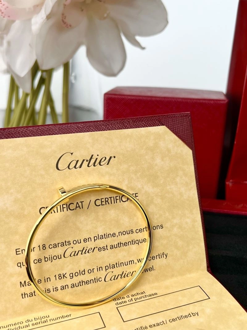 Cartier Bracelets Resilient 217664