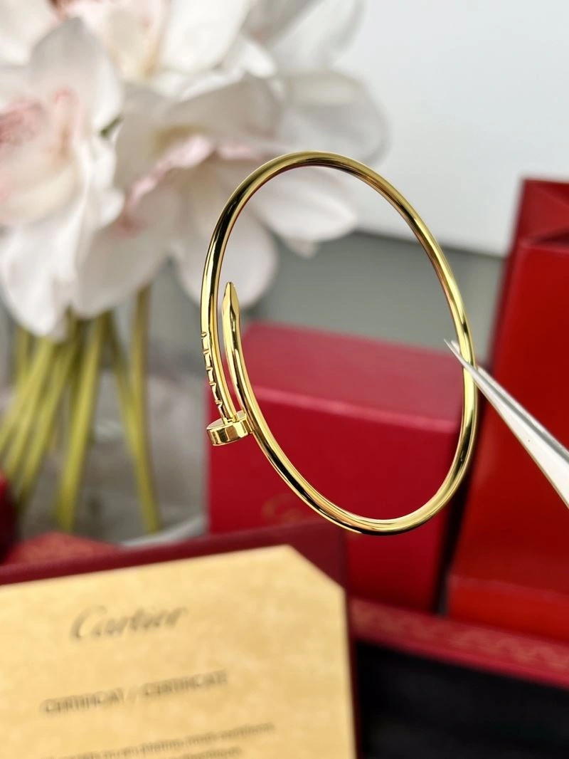 Cartier Bracelets Resilient 217664