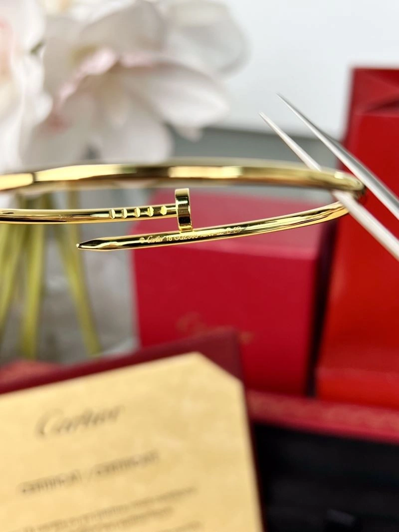 Cartier Bracelets Resilient 217664