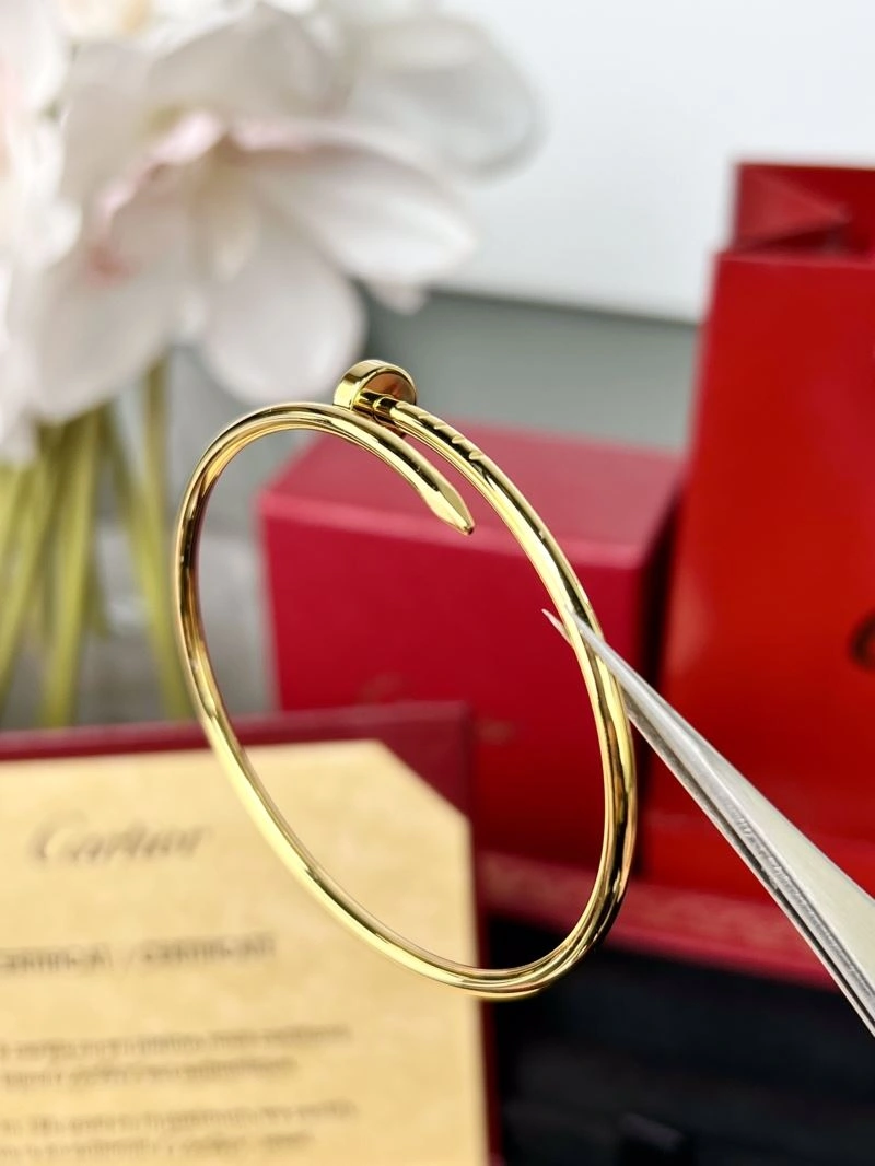 Cartier Bracelets Resilient 217664