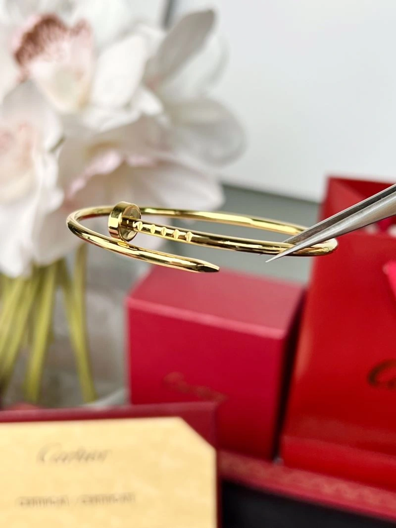 Cartier Bracelets Resilient 217664